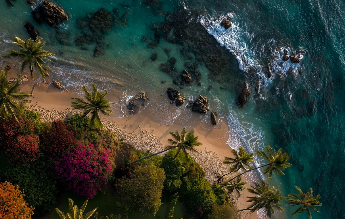 GOA