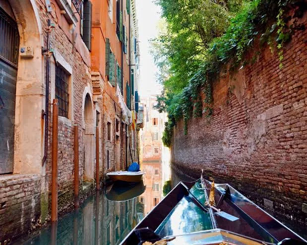 Aman Venice - Photo 15
