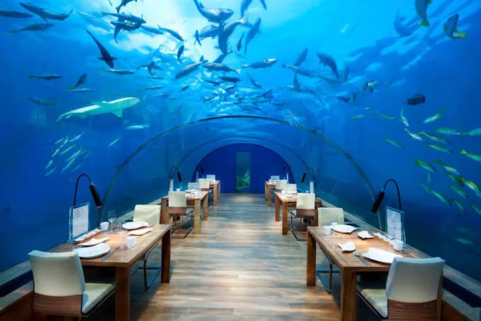 Atlantis, The Palm - Photo 11