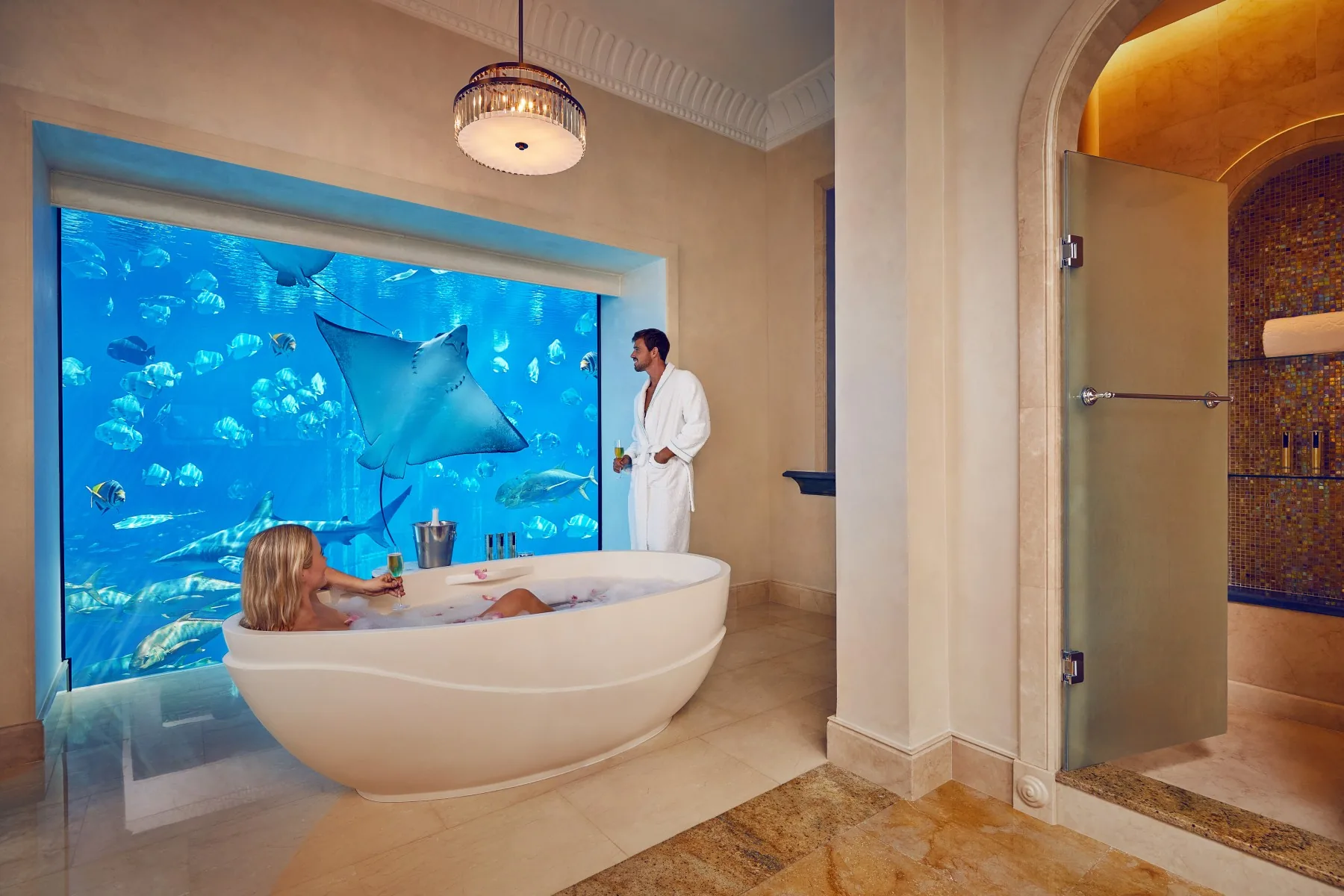 Atlantis, The Palm Gallery Photo 4