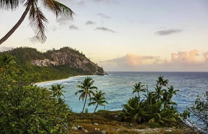 North Island Seychelles - Photo 15