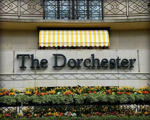 The Dorchester - Photo 15